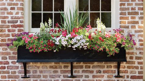 Container Gardening Southern Living