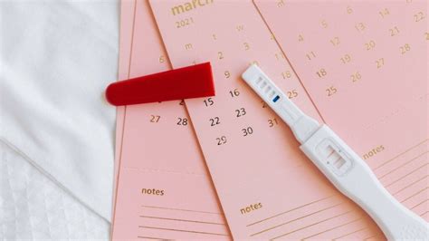 Estamos Embarazados Y Ahora ¿qué Especialistas En Fertilidad