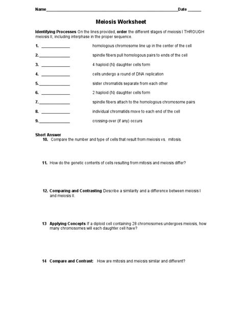 Crossing over, meiosis i, meiosis ii, and genetic variation. 11.4 Meiosis Worksheet Answer Key Pdf + My PDF Collection 2021