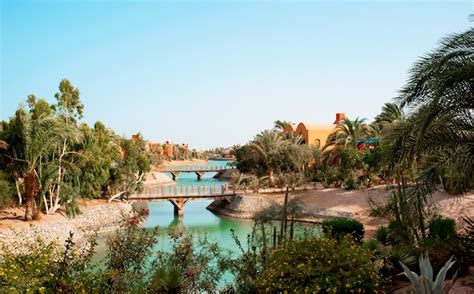 Water activities are also available at el gouna sheraton miramar resort and include windsurfing and snorkelling. Sheraton Miramar Resort, El Gouna | Red Sea Holidays™