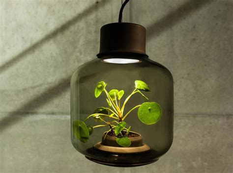 Can you use led grow lights for growing plants? These lamps let you grow plants anywhere - even in ...