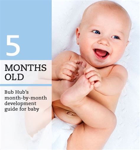 Your baby will be growing and developing rapidly now. What should my 5 month old baby be doing? 5 - 6 month ...