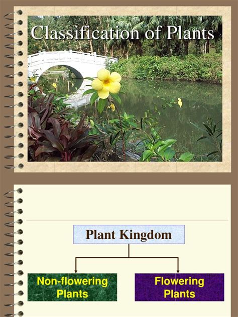 Classification of carbohydrates— presentation transcript: Classification of plants.ppt