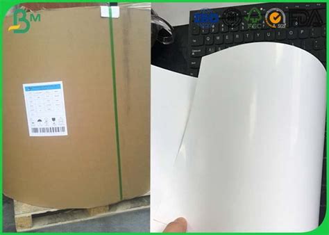 Jumbo Roll One Side Coated Ivory Board 230gsm 250gsm C1s Ivory Board