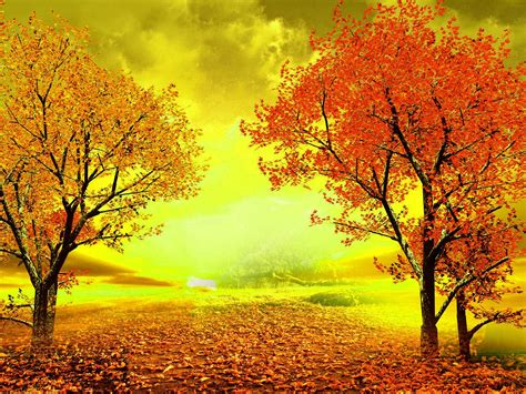 Autumn Definition | WallFree|100% Free High Definition Wallpaper - High Definition Background ...