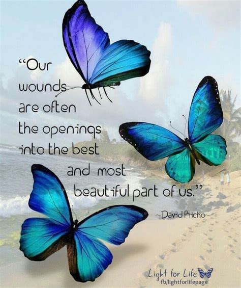 Beautiful Butterfly Images With Quotes Shortquotescc