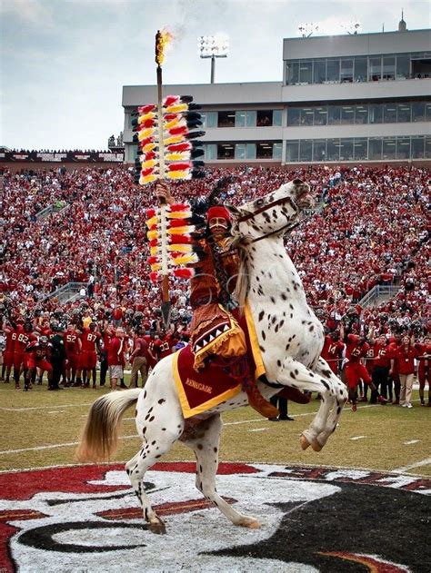 Florida State University Renegade And Chief Osceola On The Field