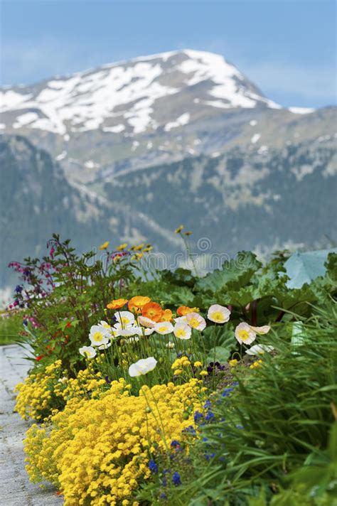 Natural Background In Swiss Stock Image Image Of Holiday Peaceful