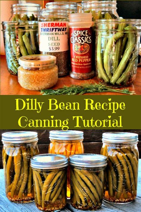 Water Bath Canning 101 A Dilly Bean Recipe