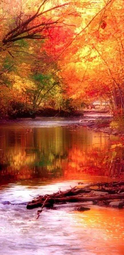 38 Breathtaking Examples Of Fall In New England