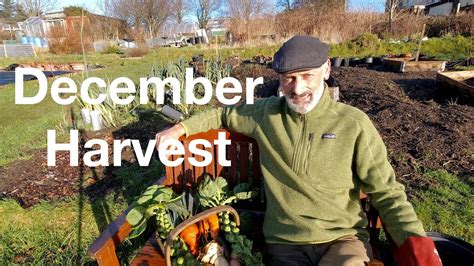 Click here for more details. Harvesting for Christmas dinner | Allotments For Fun and ...