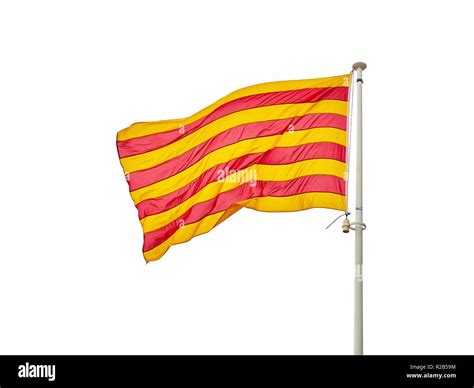 Official Flag Of Catalonia Called Senyera Isolated On White Background