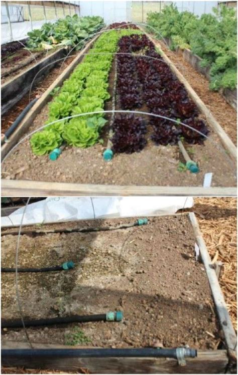 Dual System Diy Irrigation Raised Garden Beds Irrigation Garden