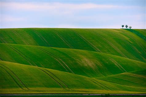 Images Gratuites Paysage Herbe Horizon Plante Ciel Champ