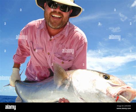 Amberjack Fish Fishing Hi Res Stock Photography And Images Alamy