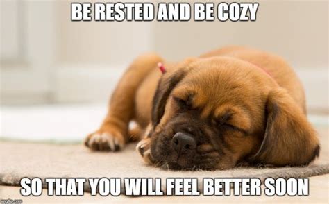 These 10 Feel Better Soon Memes May Be Funny And Cute Enough To Cure You