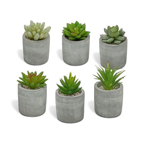Suppliers Of New Artificial Succulent Set Assorted Decorative Faux