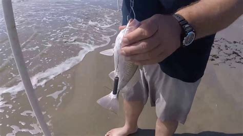 Fishing For Whiting On The Beach Galveston Tx Youtube
