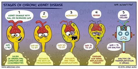 It can also cause other problems that can harm your health. Life Insurance With Kidney Disease | LION.ie