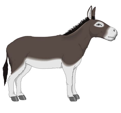 Donkey Clipart A Wide Range Of Illustrations For Your Projects