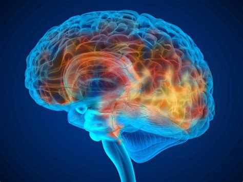 体力活动可以通过降低脑部炎症改善阿尔茨海默病 生物通