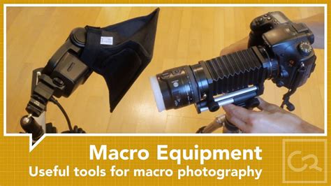 Youtube Macro Photography Photography Macro