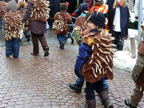Looking for the best halloween costumes for kids and babies? Hedgehog Costumes - BRILLIANT | Igel, Kostüm und Verkleiden