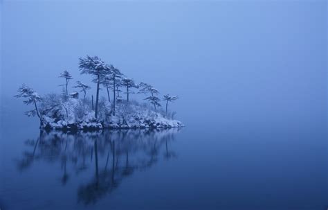 Nature Landscape Winter Island Trees Mist Lake Snow
