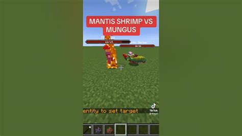 Mantis Shrimp Vs Mungus Minecraft Minecraftmemes Minecraftshorts