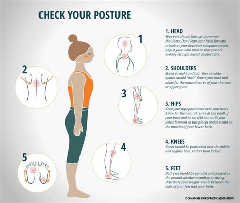 Check Your Posture Chiropracticcablogthe Synergy Of