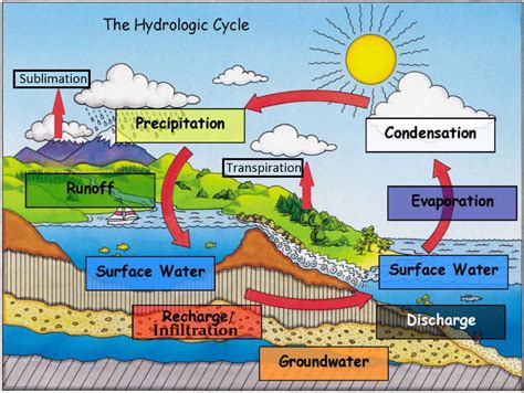This bar chart shows how almost all of earth's water is saline and is found in the oceans. U6.S1.B1: Water Cycle - Earth Science