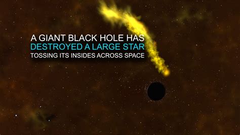 Giant Black Hole Destroys Massive Star Astronomers Get Forensic Details
