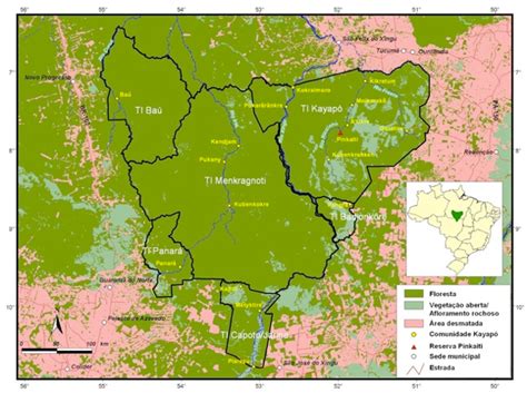 Amazonian Insurgencies Or How The Kayapó Raised Hope For Indigenous