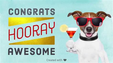 Congratulations Puppy