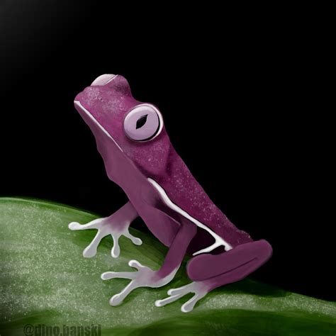 Artstation Purple Frog