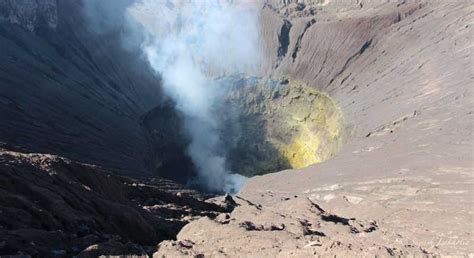 Da Surabaya Tour Del Monte Bromo Ijen E Blue Flames GetYourGuide