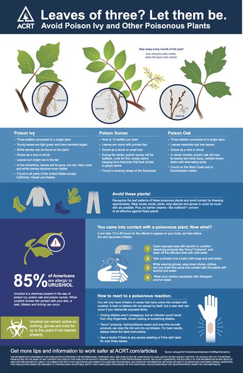 Poisonous Plants Infographic Independent Utility Vegetation
