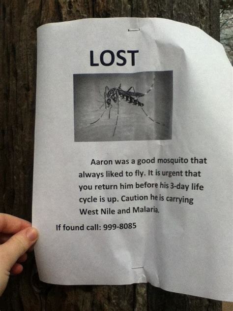 18 Lost And Found Flyers That Deserve A Reward Of Their Own Funny Or Die