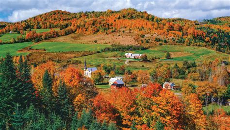 Stay tuned for updates and breaking news on british politics from brexit to the latest endeavors of the royal family members. fall foliage trips - Pass the Cookies