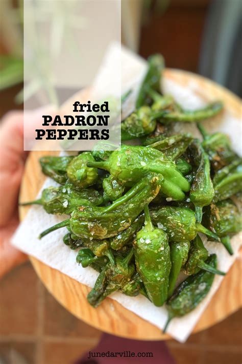 There are 167 nations and 63 languages represented in its student body. Easy Fried Padron Peppers (Pimientos de Padron) | Simple ...
