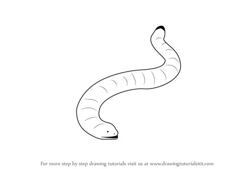 How To Draw A Worm Lizards Reptiles Step By Step