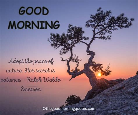 54 Beautiful Good Morning Nature Quotes Good Morning Quotes