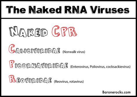 Naked Rna Viruses