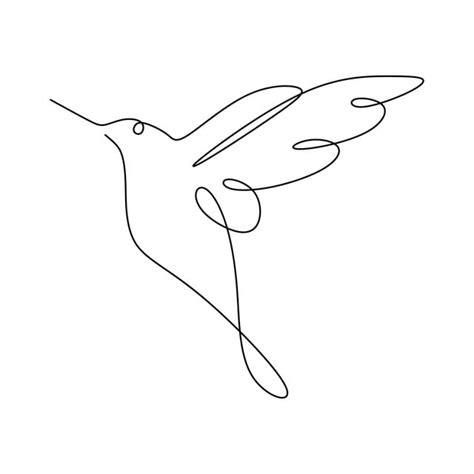 One Line Drawing Vector Art Png One Line Drawing Of Hummingbird
