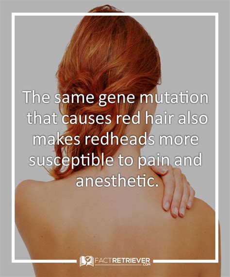 42 Interesting Facts About Redheads Redhead Facts Redhead Quotes Red