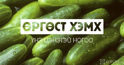 Өргөст хэмх - үнэлж баршгүй ач тустай, үнэ цэнэтэй хүнсний ...