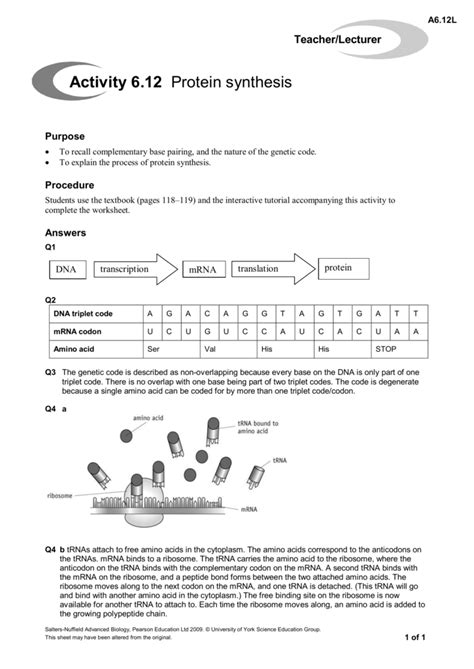 Rna to dna to polysaccharides. Nucleic Acid And Protein Synthesis Worksheet - Worksheet List