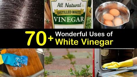70 Wonderful Uses Of White Vinegar Vinegar Uses White Vinegar