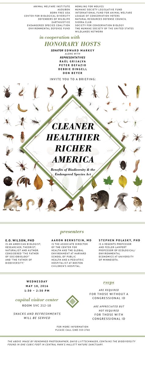 In wetlands, plants will take up contaminants in water and process and purify the the biodiversity of microbes, fungi, and other smaller organisms is important in decomposing waste matter. A Cleaner, Healthier, Richer America: Benefits of ...