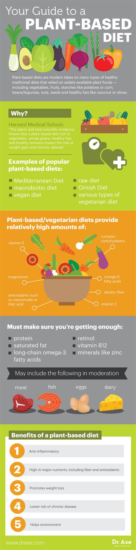 The How And Why Of A Plant Based Diet Infographic